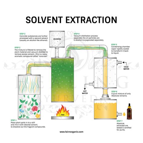 chemical extractions procedures pdf